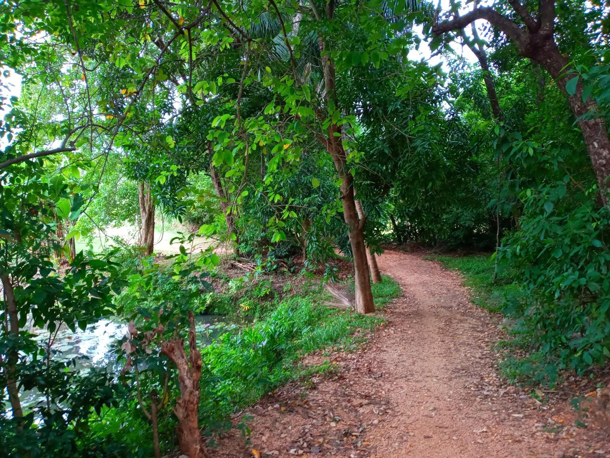 Hideaway Homestay Хабарана Екстер'єр фото