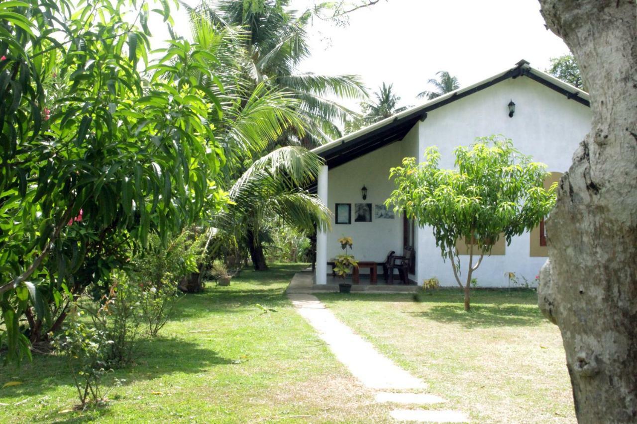 Hideaway Homestay Хабарана Екстер'єр фото
